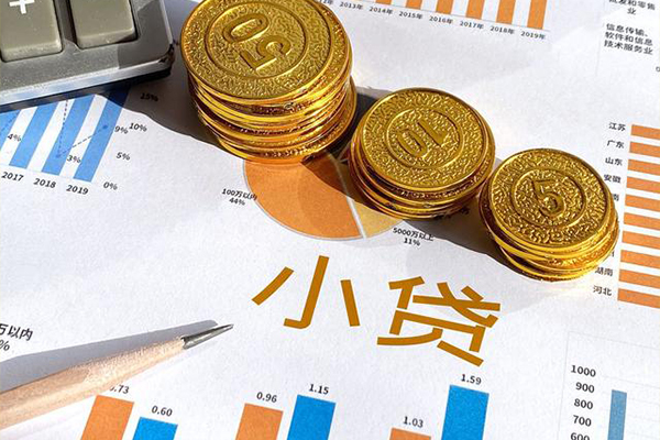 深圳坪山信用贷小额贷款正规的